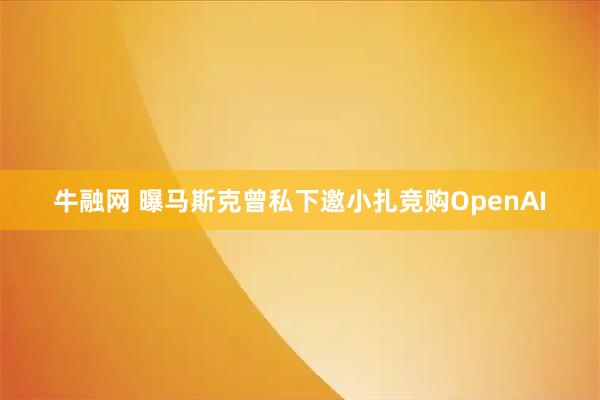牛融网 曝马斯克曾私下邀小扎竞购OpenAI