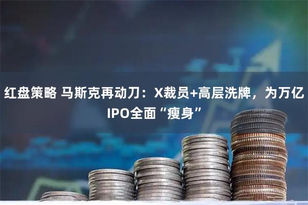 红盘策略 马斯克再动刀：X裁员+高层洗牌，为万亿IPO全面“瘦身”